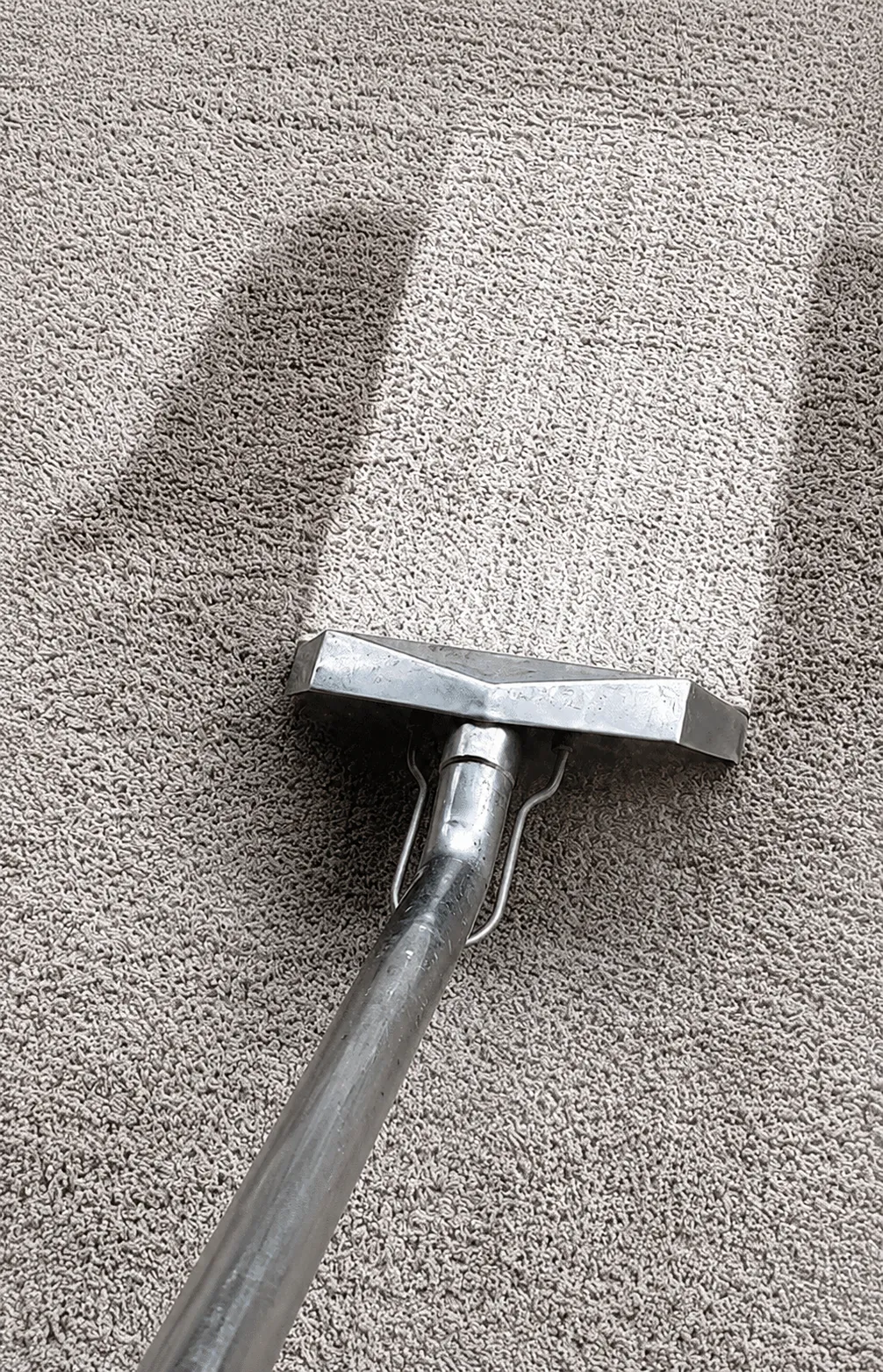 Carpet Cleaning in Scripps Ranch
