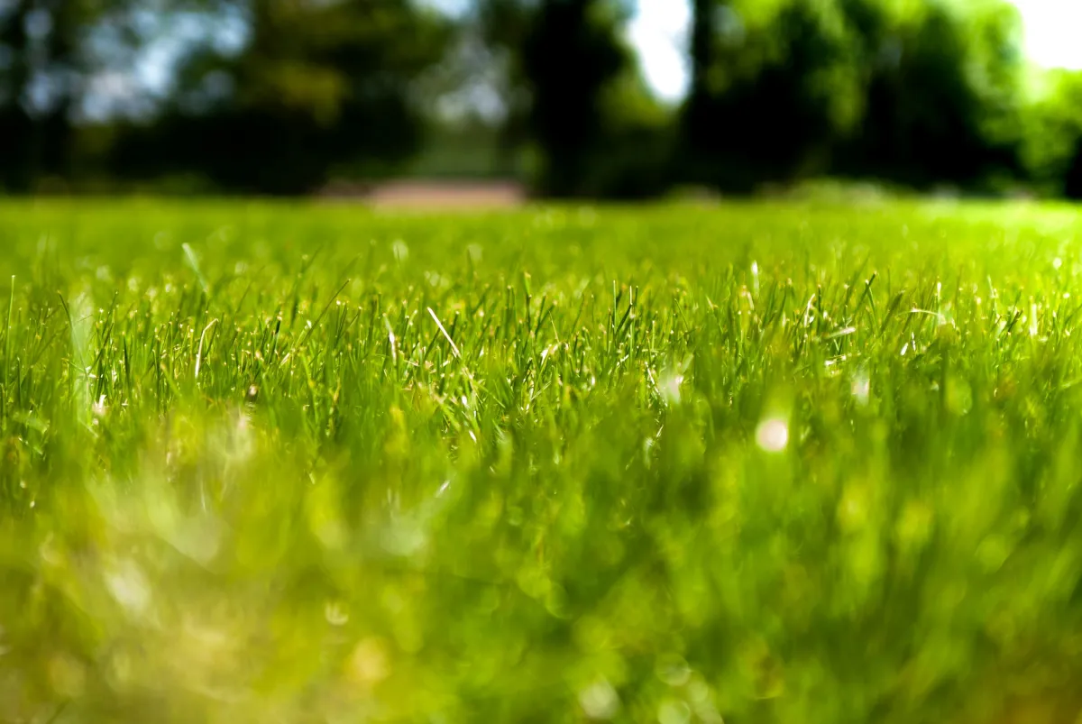 Artificial grass installation in Wimborne laying a green lawn on a prepared base