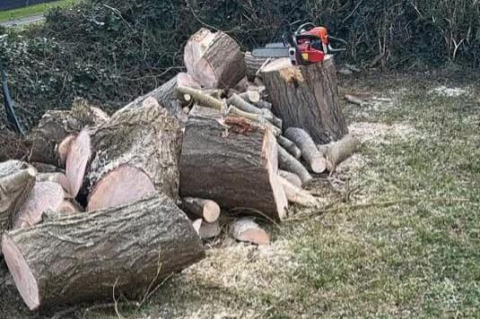 Emergency tree removal in Wimborne clearing a fallen tree after a storm