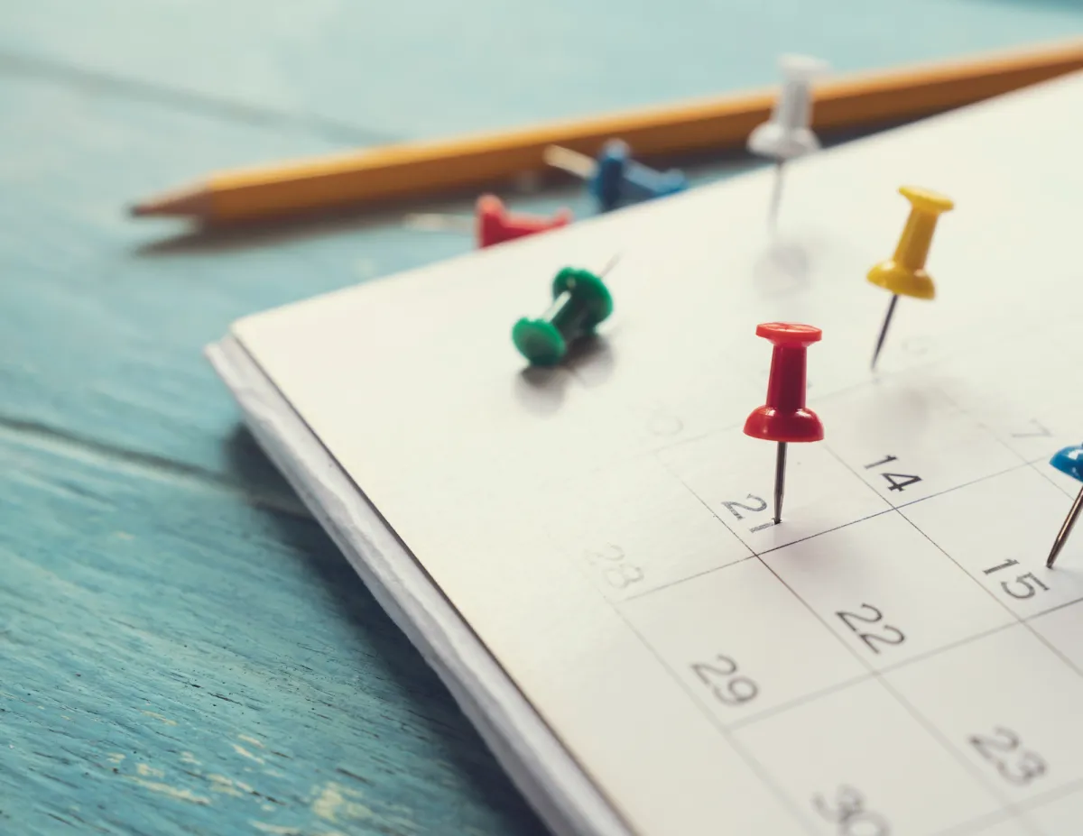 projectplanning maken voor een groen schoolplein