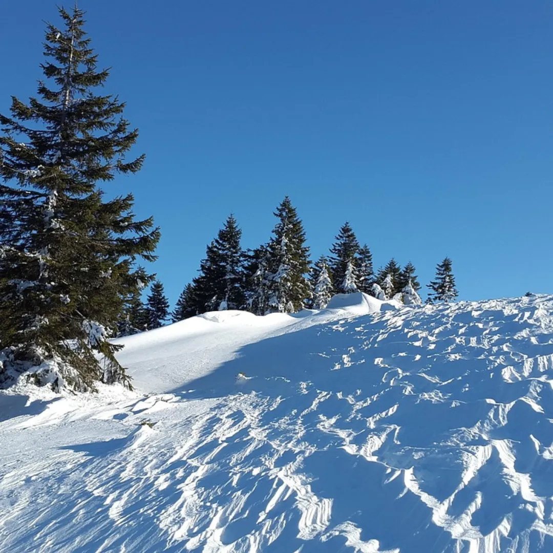 snowkite in Duitsland bij Feldberg 