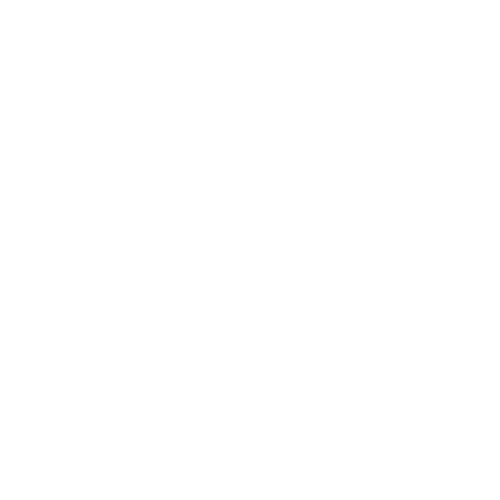 Steady Effort Yoga Logo