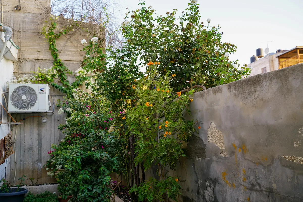Outdoor AC condenser unit crowded by overgrown shrubs and flowering vines against a wall, illustrating inadequate clearance
