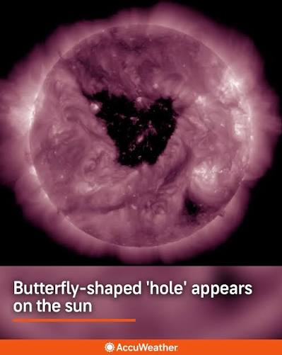 Well, Aren't You Just a 'Regular Decorated Emergency'?