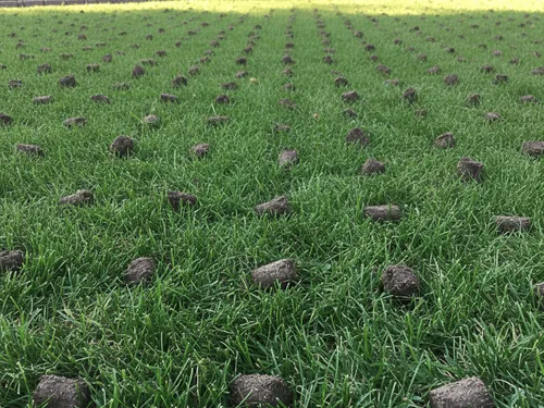 Fall Winterization & Blowouts 