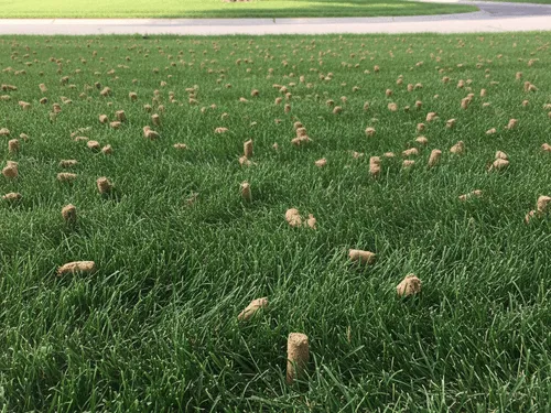 Lawn Aeration White Bear Lake, MN