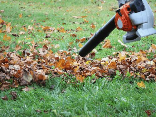 Debris Blowing in Washtenaw County