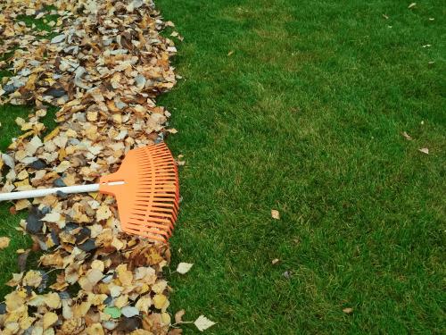  Lawn Mowing