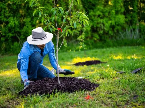 Planting in Washtenaw County