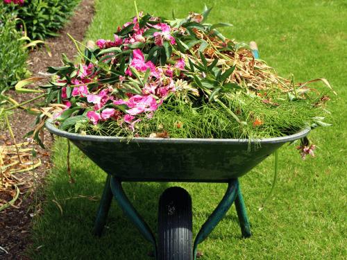 Spring Cleanup in Washtenaw County