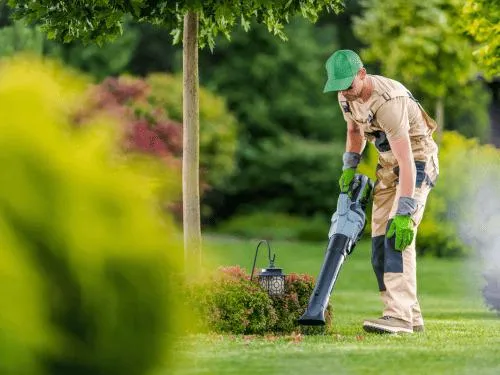  Lawn Mowing