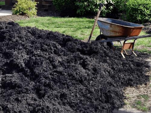 Mulching in Washtenaw County