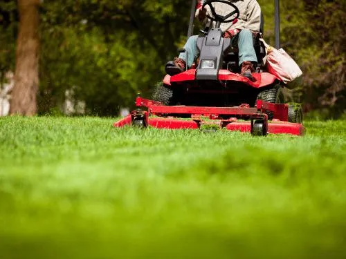  Lawn Mowing