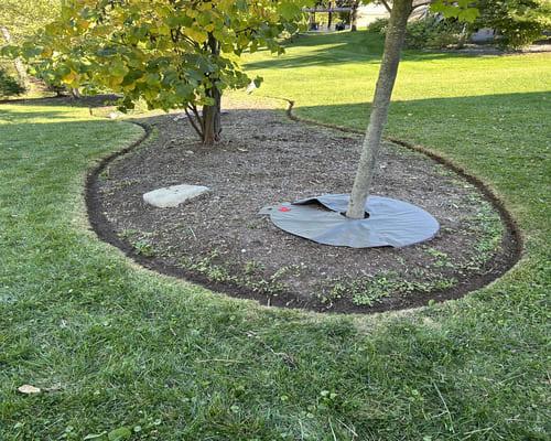 Mulching Washtenaw County