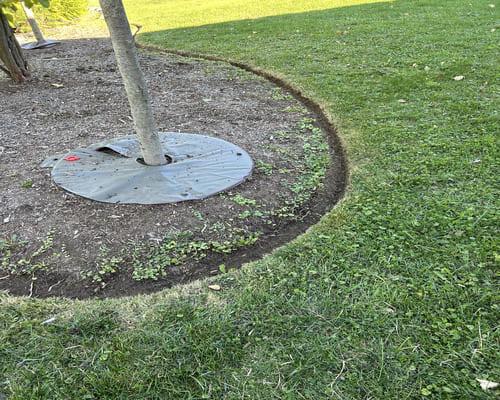 Lawn Mowing Washtenaw County