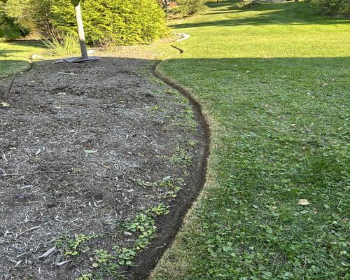 Spring Cleanup Washtenaw County