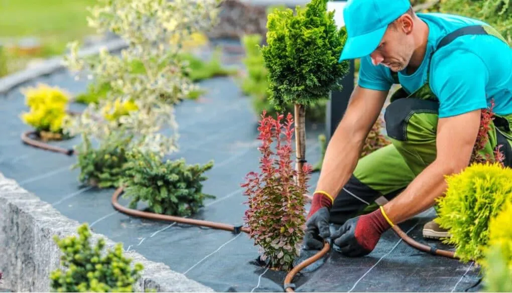 Professional landscaper installing an efficient irrigation system with drip lines to enhance lawn and garden health.