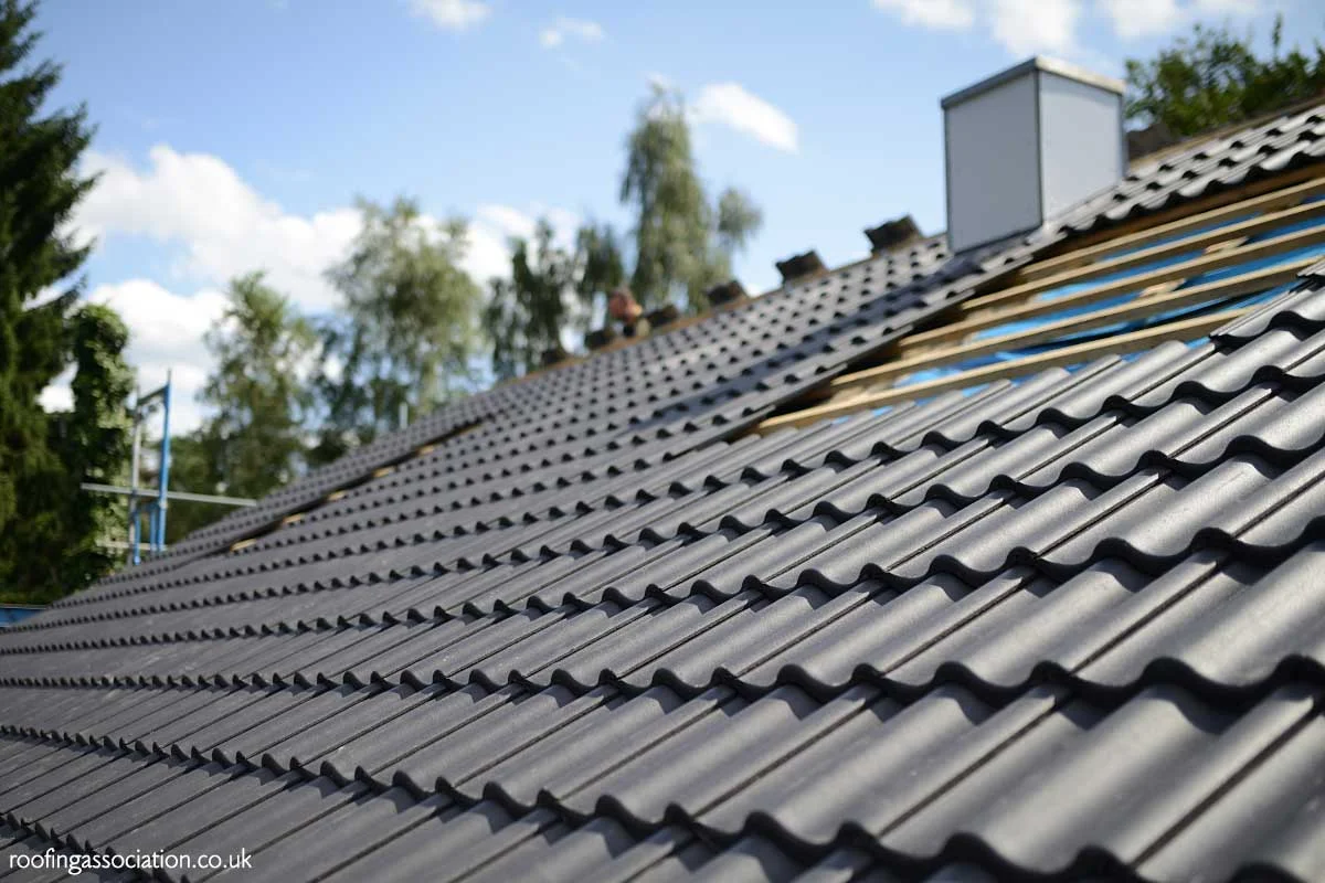 a roof with a few shingles