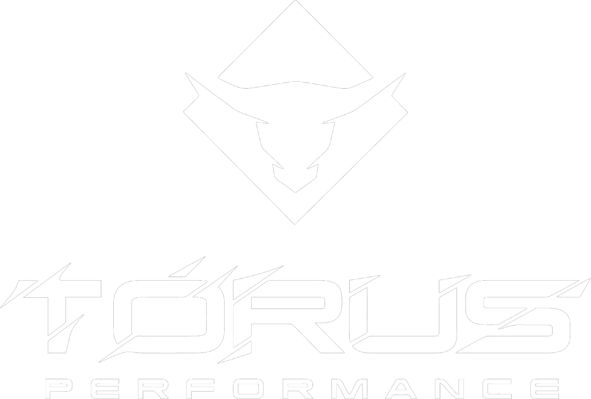 Logo Torus Performance Guarapuava