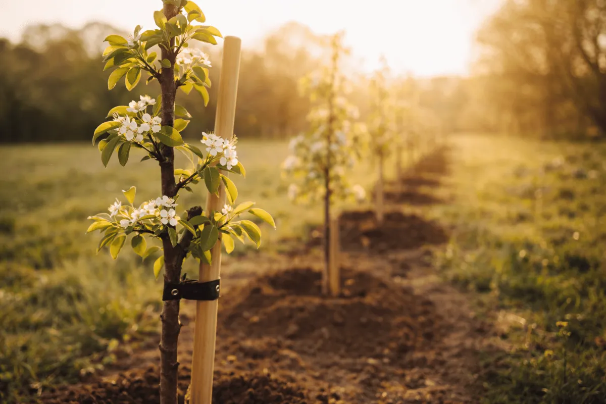 {{ custom_values.service_1 }} in {{custom_values.biz_area_1})