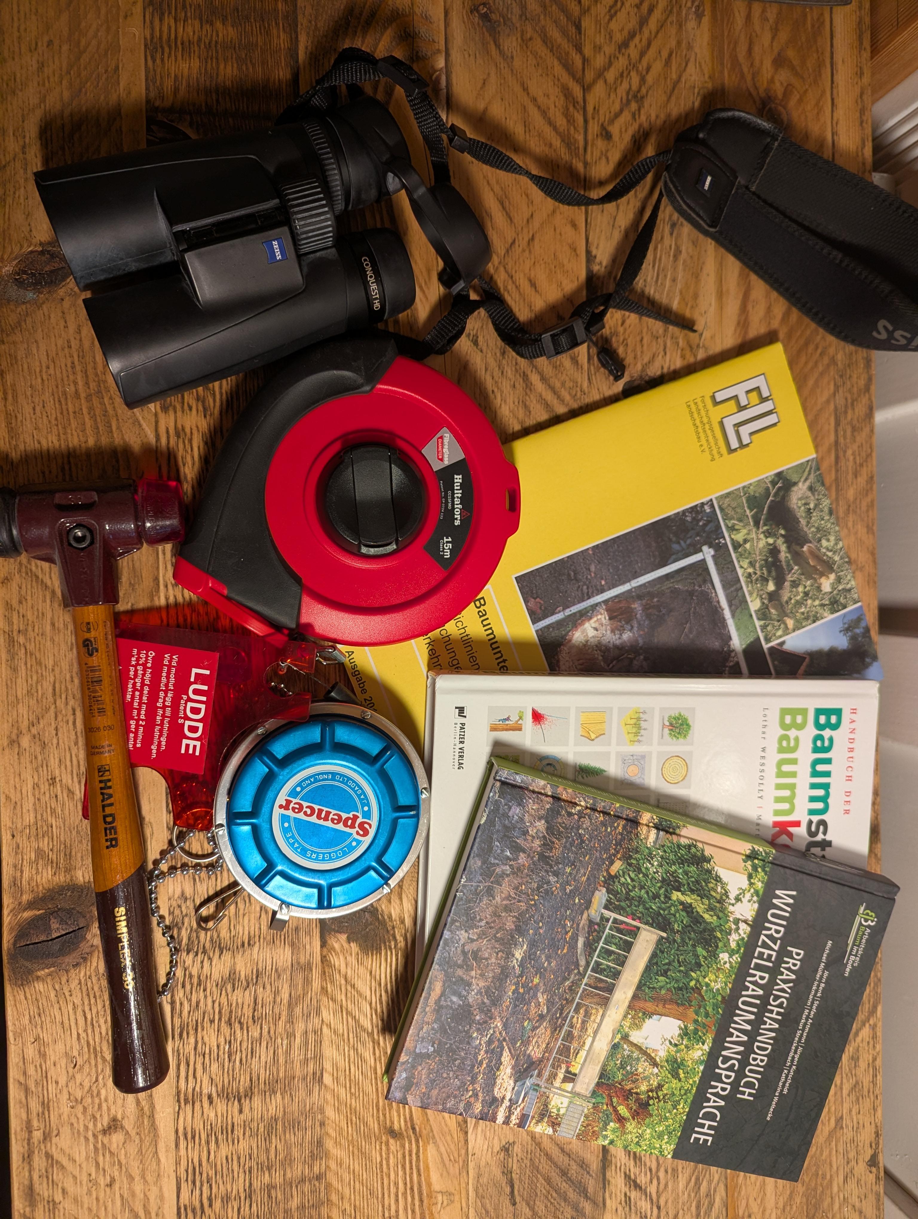 Baumgutachten Leipzig