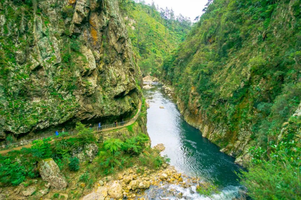 Karangahake Gorge attraction close to Te Aroha Accomodation