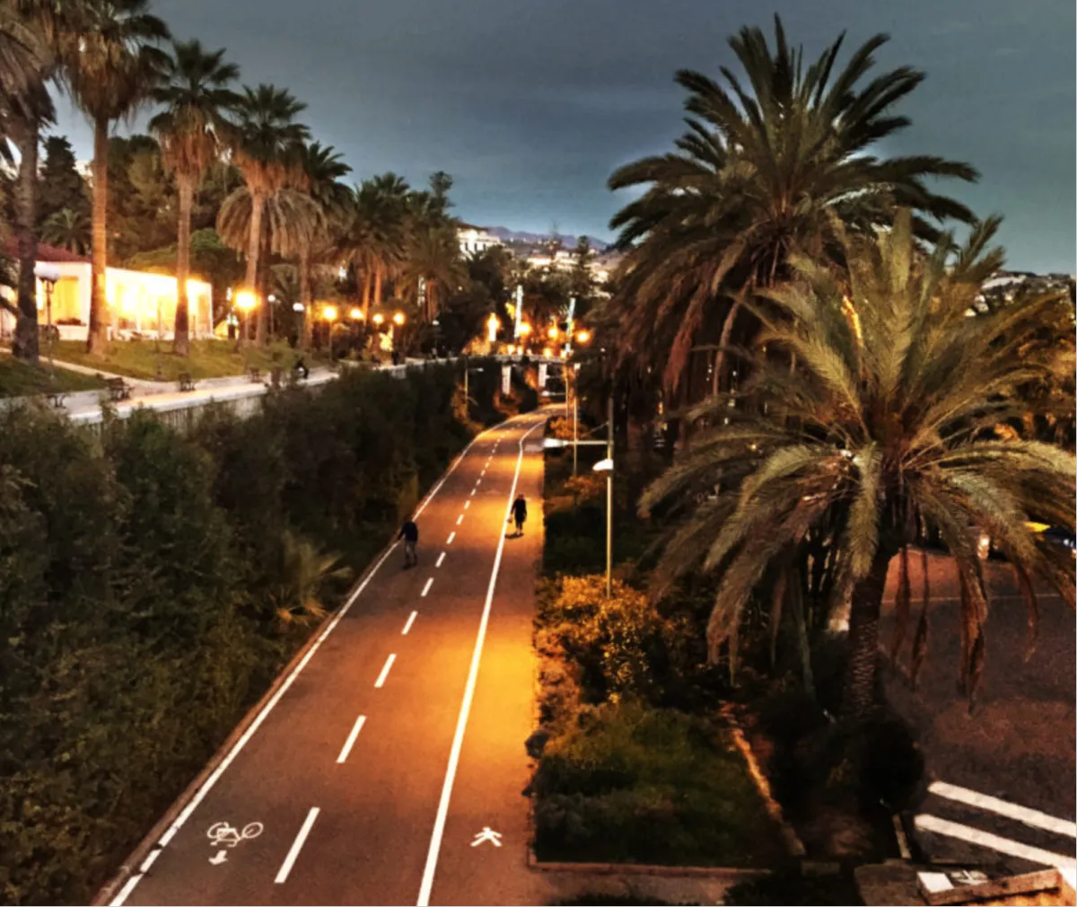 landscape photography of trees beside river