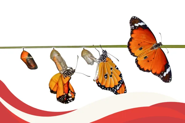 Transform Yourself: The Complete Personal Development Guide