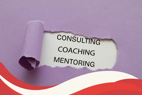 VIP Coaching, Consulting & Mentoring: What's Right for You?