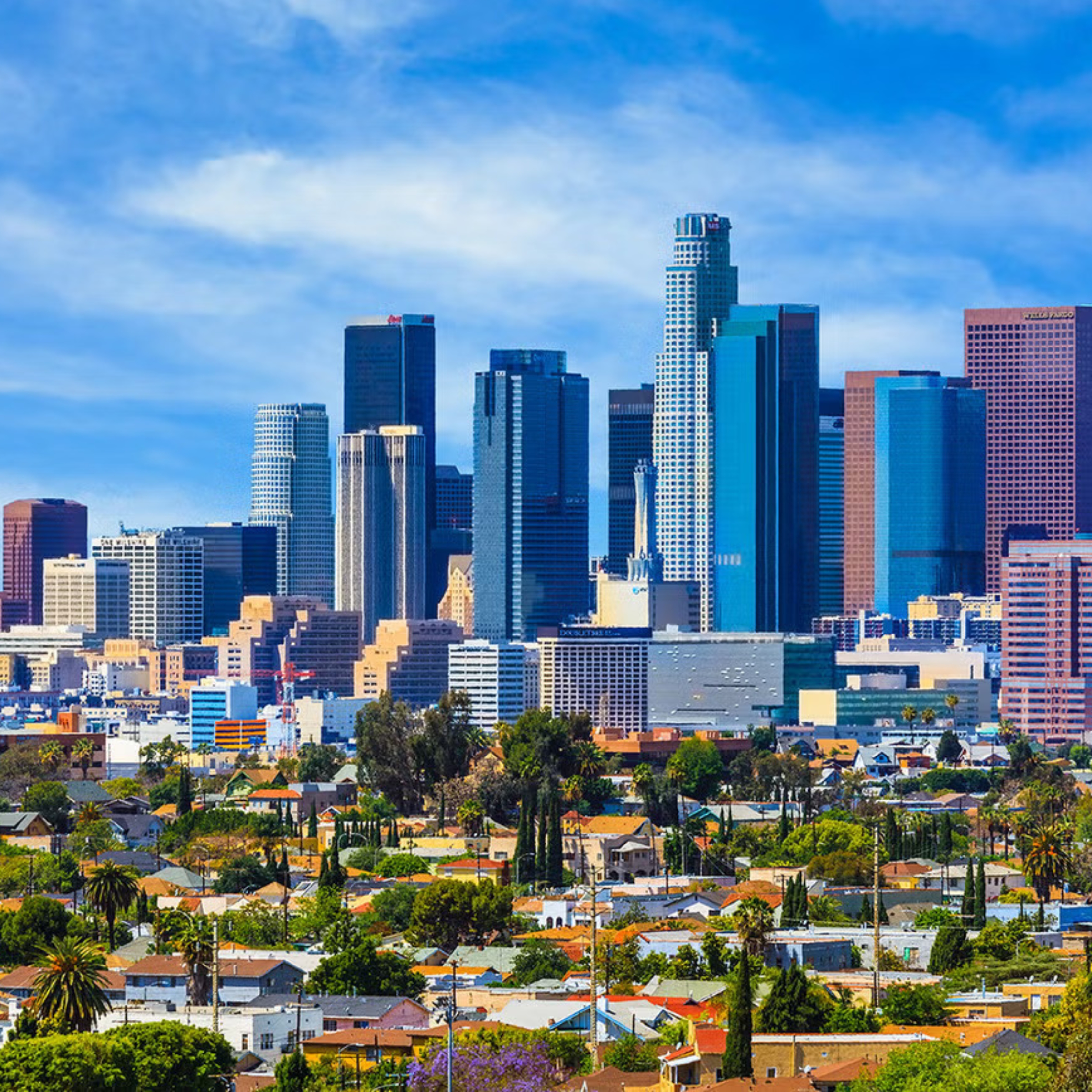 Madeline B. Liebreich Portrait