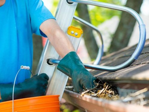 Gutter Cleaning in Lakeland