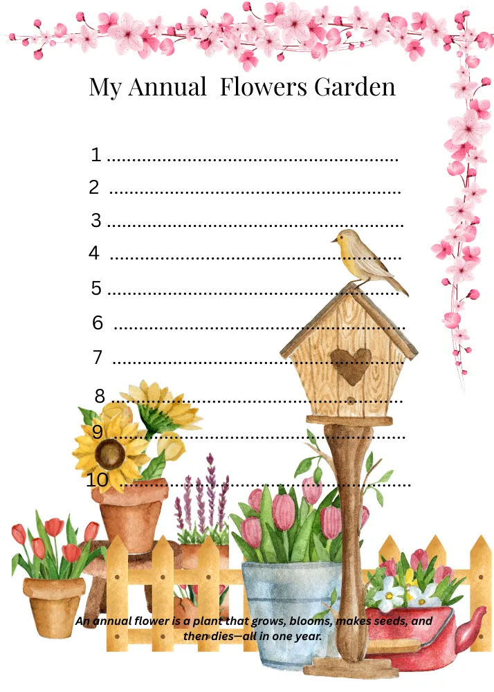 Annual flowers garden list