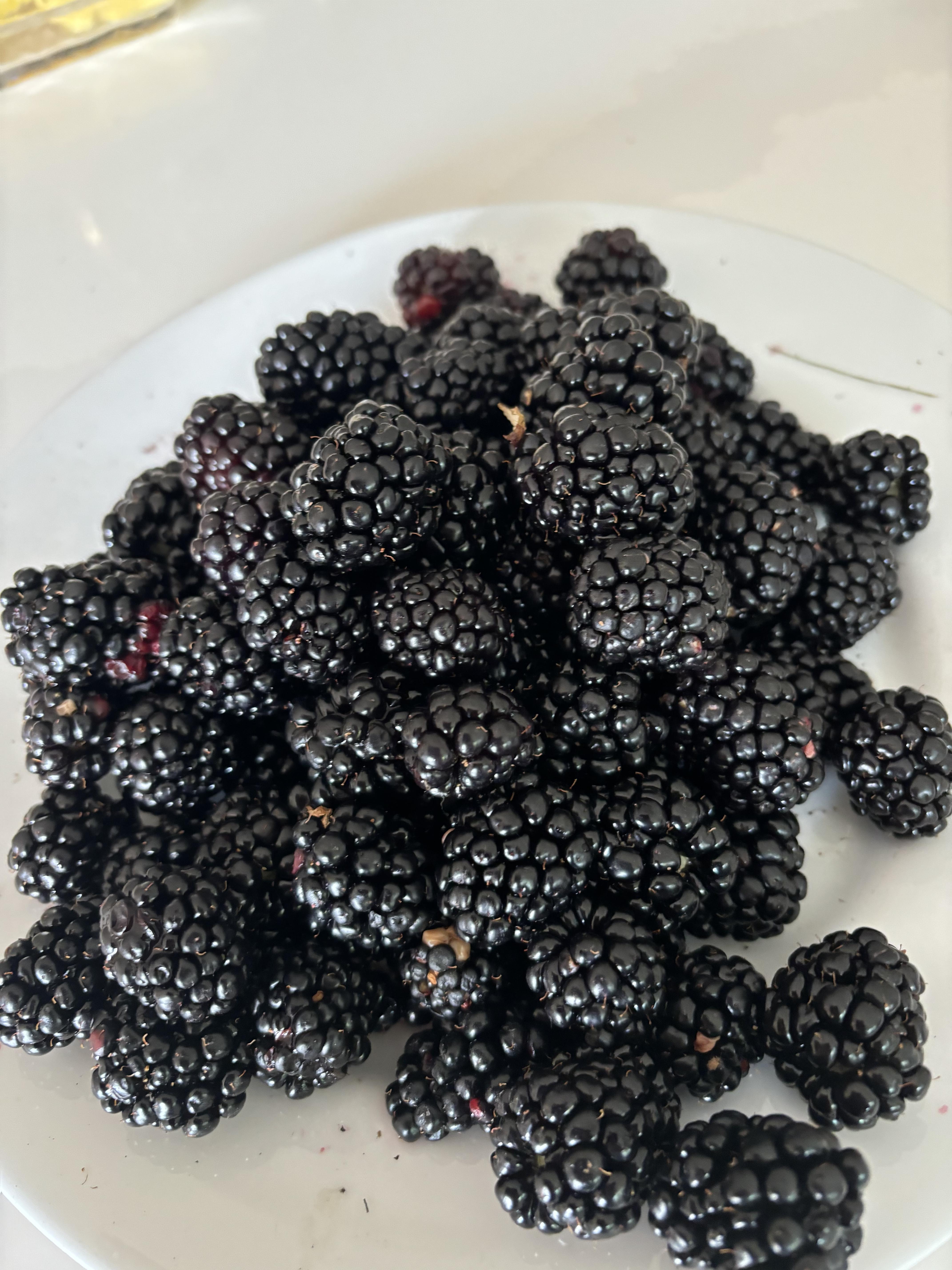 Many blackberries piled on a plate