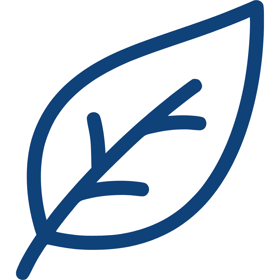 simplicity icon