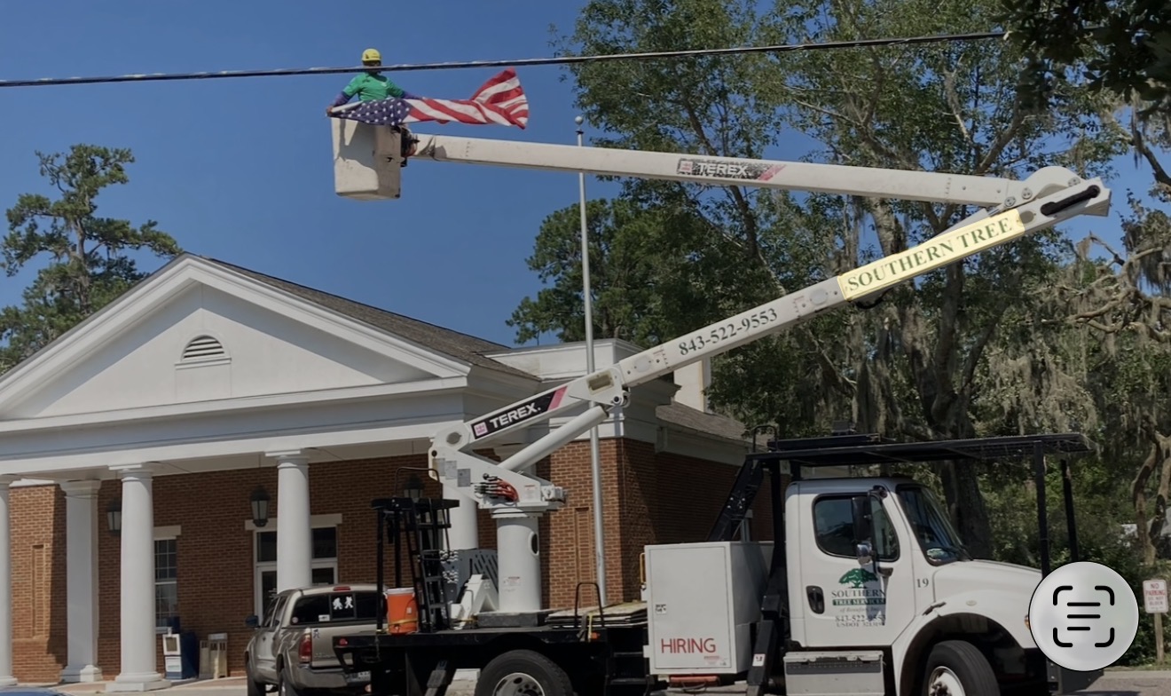 Commercial tree maintenance for business properties