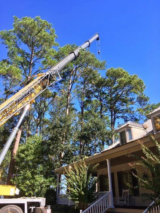 Crane Truck Tree Removal: When a Bucket Truck Isn't Enough