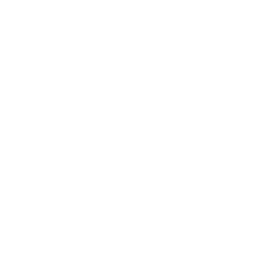 Sneaker Avenue Home