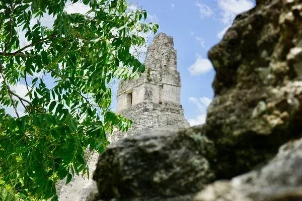 A temple at the Mayan ruins at the Tikal site in the Petén region of Guatemala