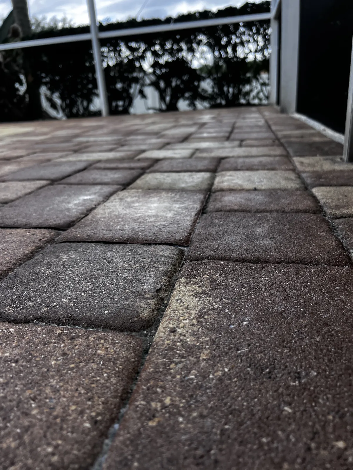 Close view of damp pavers on a shaded pool deck after cleaning