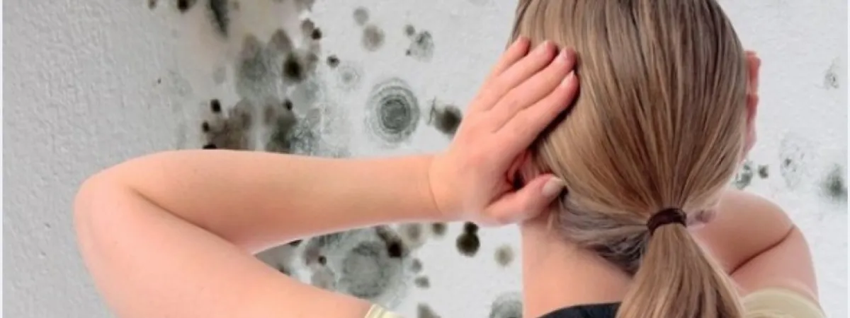 Mold in Home