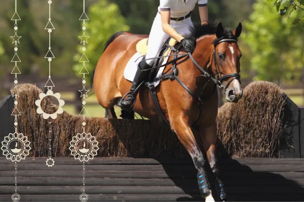 # 14 The Jumps That Looked Impossible (And What It Taught Me About Fear)