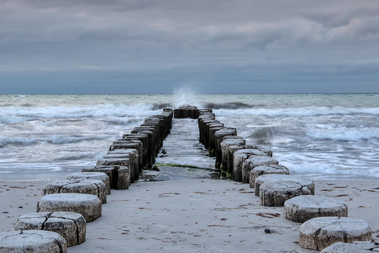 A path to the ocean representing business clarity and direction