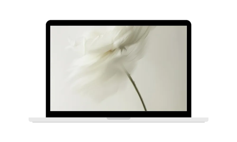 flower image inside a laptop