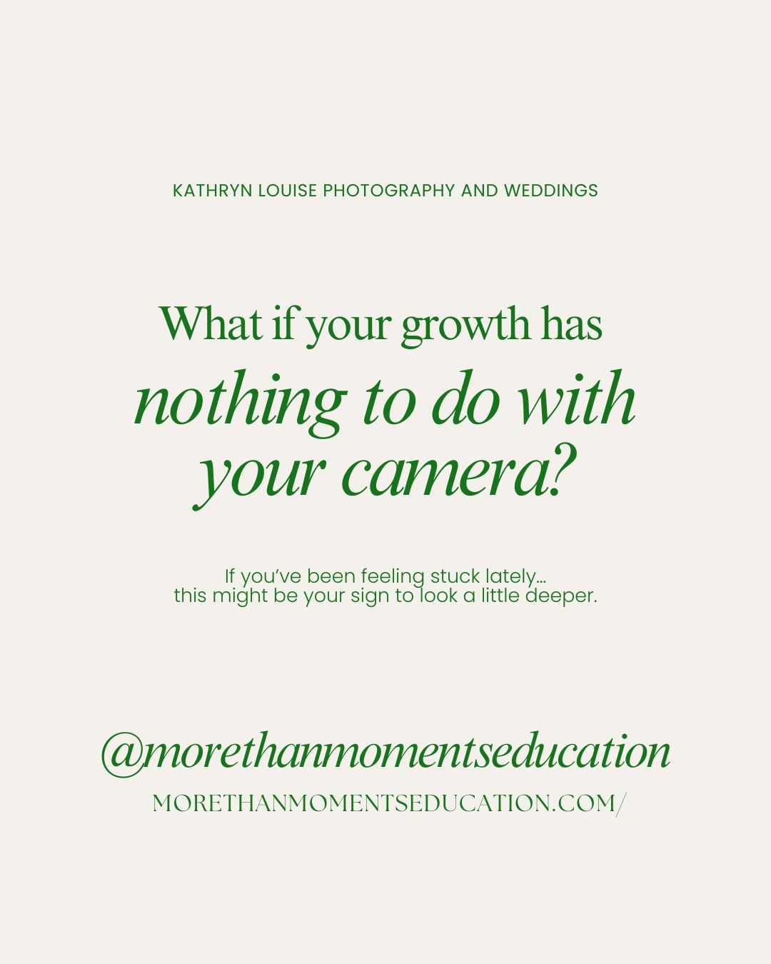 a moment captured of newlyweds staring into the sunset