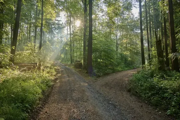 Choosing in the Unknown