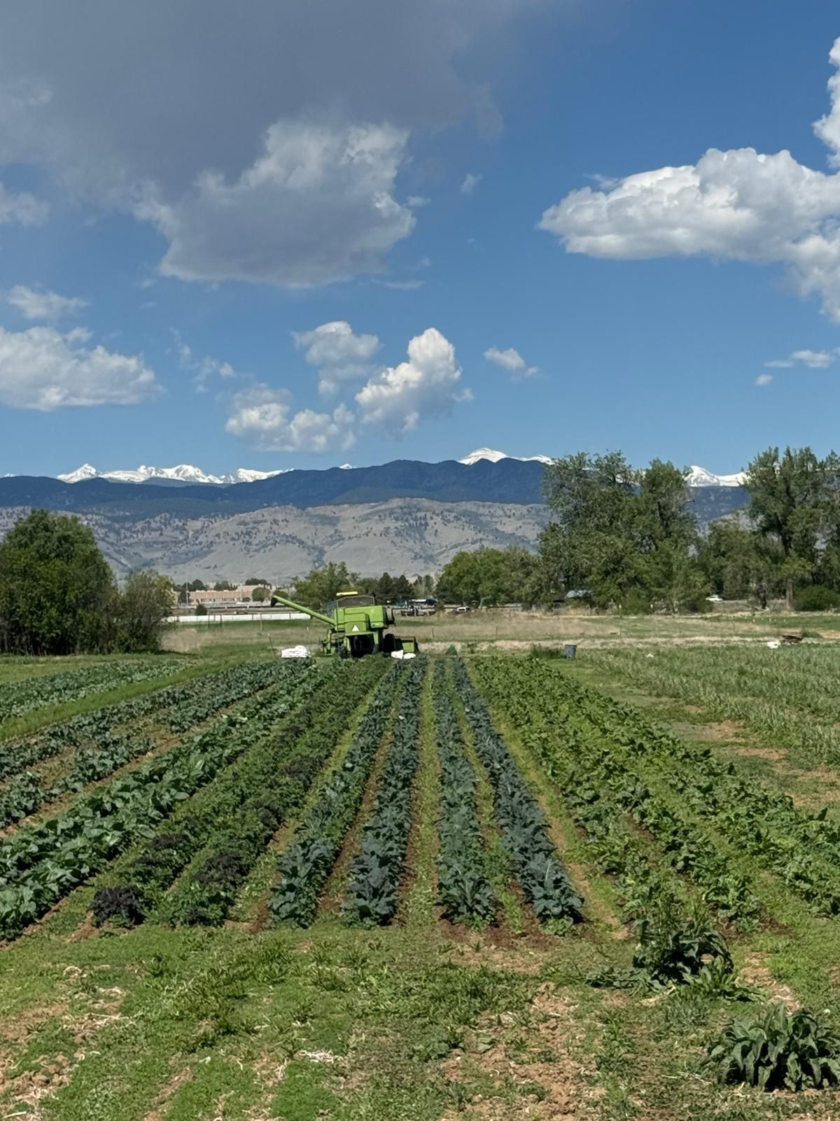 Rain Helps. Snowpack Still Matters.