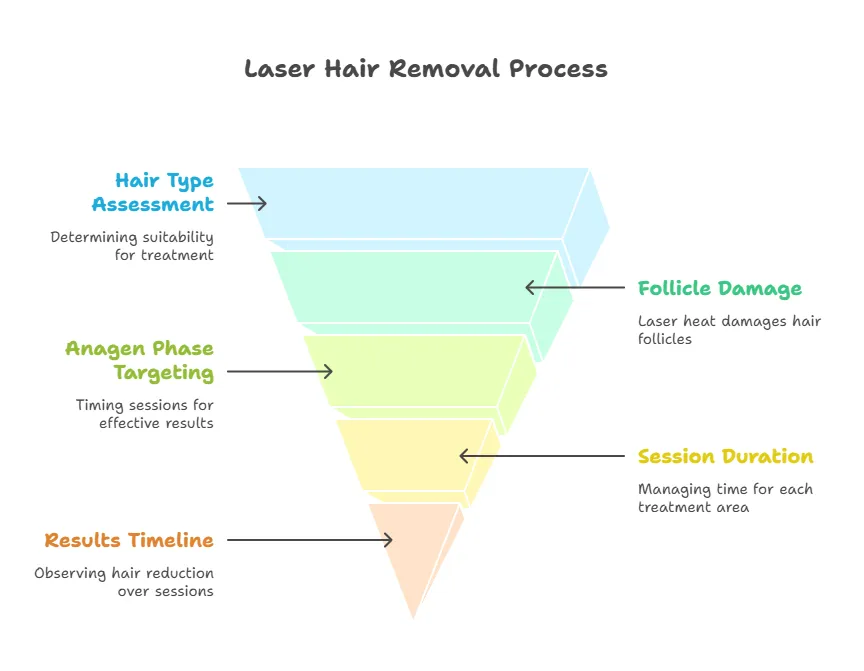 Infographic showing the laser hair removal process from hair type assessment to results timeline with key treatment steps.