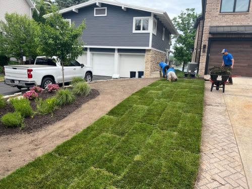 Lawn Installation in Mequon