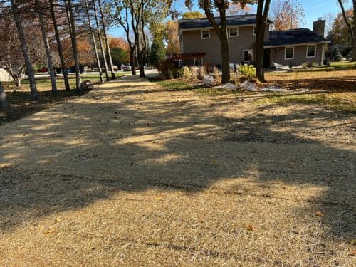 Landscape Design & Installation