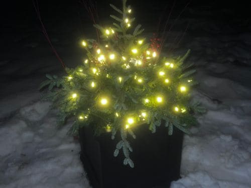 Cedarburg Landscape Lighting